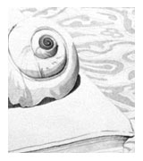 Shell Drawing — Click to Enlarge